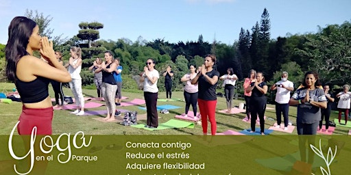 Primaire afbeelding van YOGA AT CENTRAL PARK NEW YORK