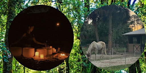 Imagen principal de Sound Bath in the Farms