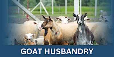 Immagine principale di Goat Husbandry 