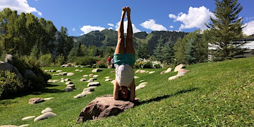 Imagem principal de Soulful Flow: Vinyasa Yoga with Anne Rene