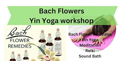 Imagem principal do evento Yin Yoga & Bach Flower Redies Workshop