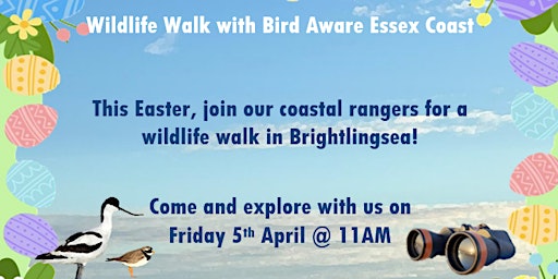 Guided Wildlife Walk