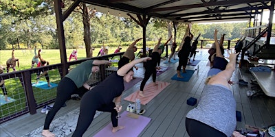 Primaire afbeelding van Wine Yoga at Enoree River Vineyards & Winery