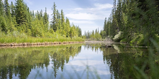 Imagen principal de Griffith Woods Elder Walk