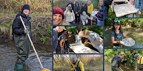 Invertebrate kick testing on the Wey in Godalming