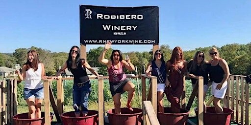 Grape Stomping Festival 2024 at Robibero Winery  primärbild