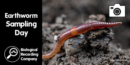 Primaire afbeelding van Earthworm Sampling Day