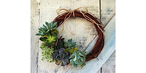 Rustic Cork, Mill Creek- Succulent Wreath