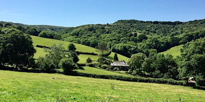 Imagem principal do evento From Coleridge’s Green Romantic Chasm to the Quantock Pinnacle - 4.4 miles