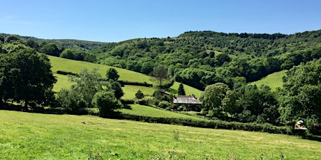 From Coleridge’s Green Romantic Chasm to the Quantock Pinnacle - 4.4 miles