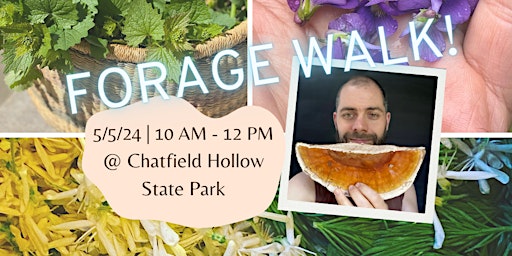 Imagem principal do evento Forage walk-learn about spring  wild edible and medicinal plants/mushrooms