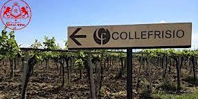 Image principale de Chateau Cellars Welcomes  Collefrisio Winery, Abruzzo, Italy