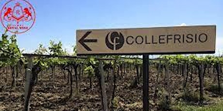 Chateau Cellars Welcomes  Collefrisio Winery, Abruzzo, Italy