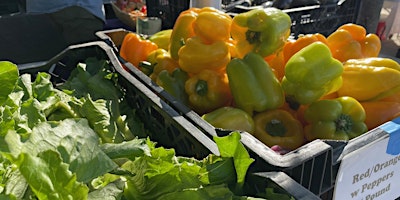 East Boston Spring Farmers Market primary image