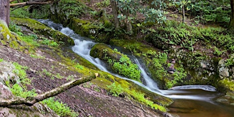 Monday Mountaineers! Tillman's Ravine traverse