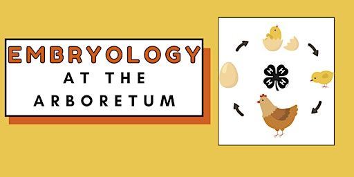 Primaire afbeelding van 4-H Embryology at the Arboretum