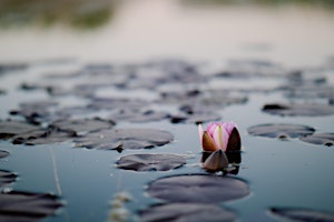 Hauptbild für Yoga for Deep Peace and Well-Being