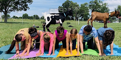 Primaire afbeelding van Mother's Day Goat Yoga (Session #1) - Columbia, MO