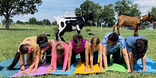 Imagem principal do evento Mother's Day Goat Yoga (Session #1) - Columbia, MO