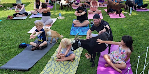 Imagem principal do evento Mother's Day Goat Yoga (Session #2) - Columbia, MO