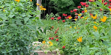 Creating a Pollinator Garden