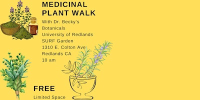 Medicinal Plant Walk with Dr. Becky primary image