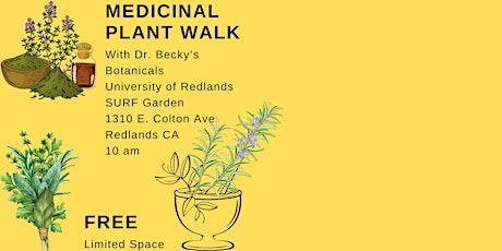 Medicinal Plant Walk with Dr. Becky