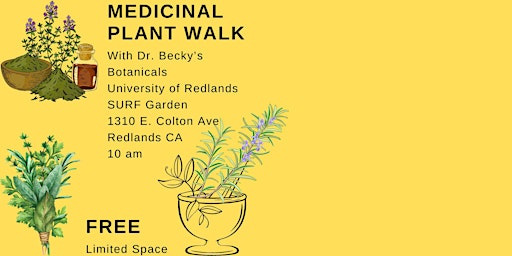 Medicinal Plant Walk with Dr. Becky primary image