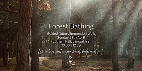 Guided Forest Bathing Experience