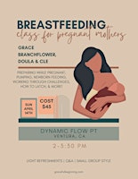 Primaire afbeelding van Prenatal Breastfeeding Class