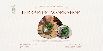 Imagen principal de Terrarium Workshop