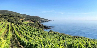 Corsican &  Sardinian Wine Tasting primary image