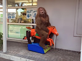 Primaire afbeelding van Sasquatch Ride 2024