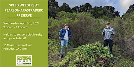 Speed Weeders: Volunteer Outdoors at Pearson-Arastradero Preserve  primärbild