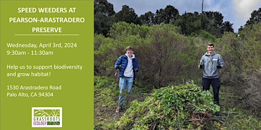 Speed Weeders: Volunteer Outdoors at Pearson-Arastradero Preserve primary image