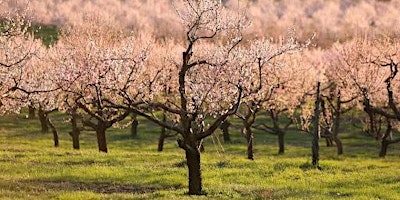 Cider Hike primary image