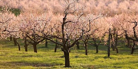 Cider Hike