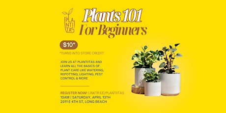 Plants 101 For Beginners