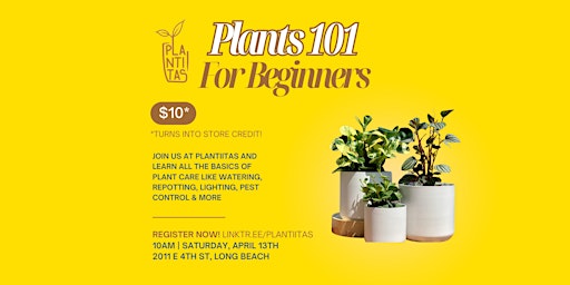 Imagem principal do evento Plants 101 For Beginners
