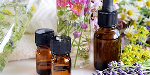 Primaire afbeelding van What You Need to Know About Essential Oils