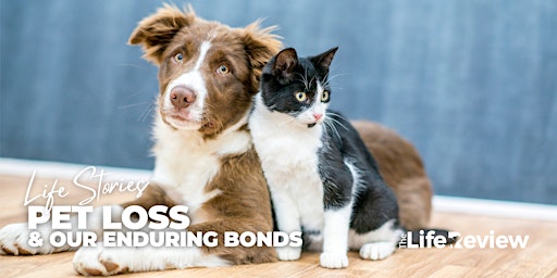 Imagem principal do evento Life Stories: Pet loss  & our enduring bonds