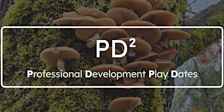 PD² - A Day of Play for K-8 Teachers - Liberty Park (August 5th)