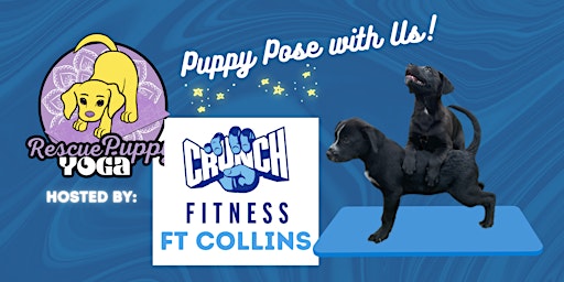 Imagem principal do evento Rescue Puppy Yoga - Crunch Fitness Ft Collins