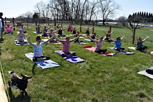 Cool Hollow Goat Yoga Spring Opener primary image