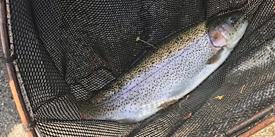 2024 Big Coal River Trout Rodeo primary image