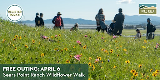 Imagem principal do evento Sears Point Uplands Wildflower Walk 4-6-24