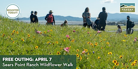 Sears Point Uplands Wildflower Walk 4-7-24 primary image