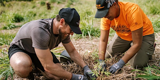 Plant a Legacy at Pu'u Kukui primary image