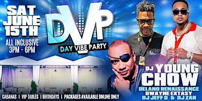 DVP  Day Vibe Party 2024 primary image