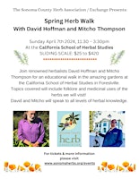 Spring Herb Walk with David Hoffman and Mitcho Thompson primary image